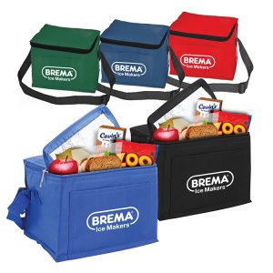 BEAUMONT 6 PACK COOLER