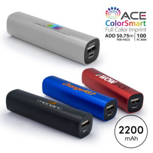 BERKELEY - 2200 mAh PORTABLE USB POWER BANK